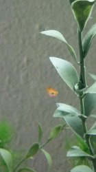 2015-04-04 11.39.14.jpg