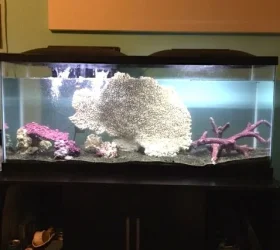 IMG_2074.webp