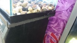 DSC_1086 (Small).JPG