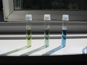 ph end of experiment.JPG