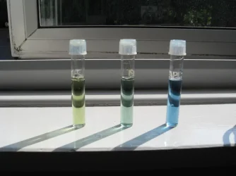 ph end of experiment.webp