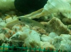 20150424_215807-1.jpg