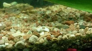 20150424_215859.webp
