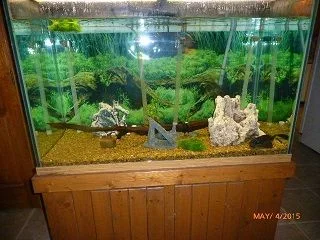 Aquarium.webp