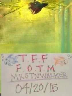 mrstwalkerMayFoTMcomp.webp mrstwalkerMayFoTMcomp.webp