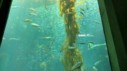 IMG_20150509_094253.jpg