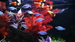 WP_20150416_010 1.jpg