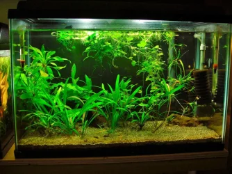 20g QT Aug 23-13.webp