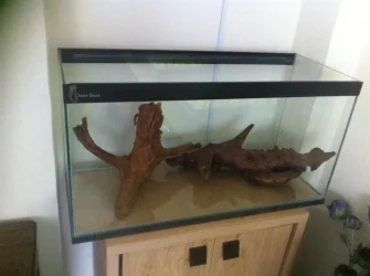 Bogwood option 3.webp Bogwood option 3.webp