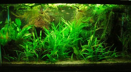 33g Jan 4-12.JPG