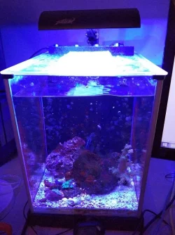 desk_tank1_sm.webp desk_tank1_sm.webp