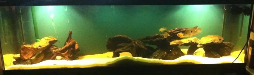 2015-03-15 22.00.39.webp
