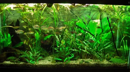 90g Feb 24-15.webp