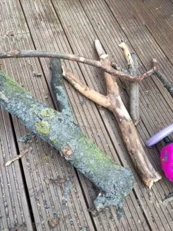 image.webp