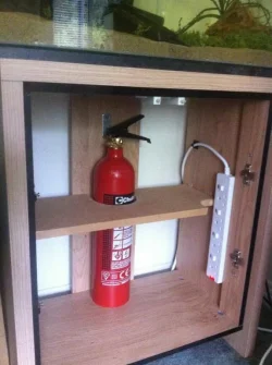 Shelf stage 3.webp