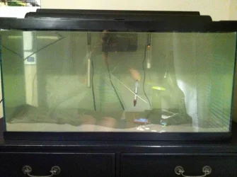 IMG_1011.webp IMG_1011.webp