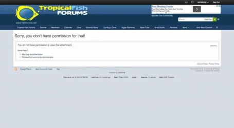 Screen Shot 2015-07-22 at 2.33.09 PM.webp
