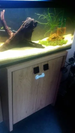 Callum Proof Cabinet.webp Callum Proof Cabinet.webp