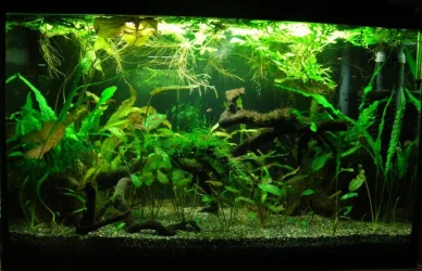 29g Mar 24-11 (2).webp