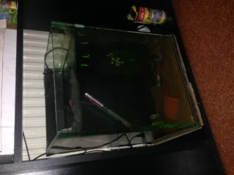 Photo 28-08-2015 23 06 36.webp Photo 28-08-2015 23 06 36.webp
