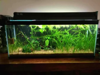 fts 3foot.webp