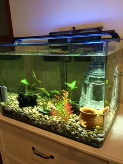 IMG_0125.webp IMG_0125.webp