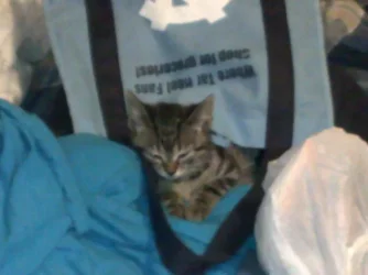 06022011369.webp