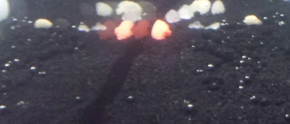 20150928_170736.webp