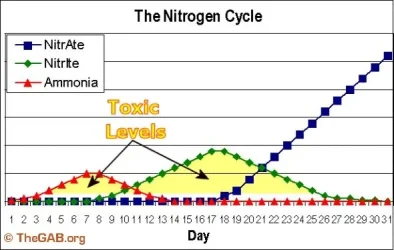 NitrogenCycle2.webp