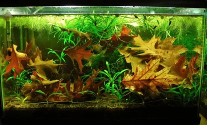 10g Aug 23-13.webp
