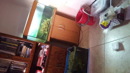 IMG-20151031-WA0005.webp