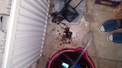 IMG-20151031-WA0011.jpeg