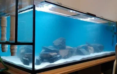 complete tank.webp