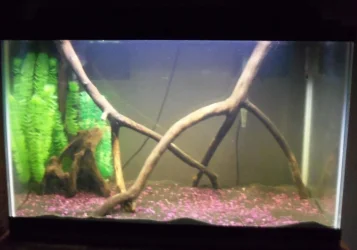 104_1528.webp