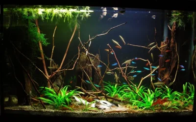 29g Sep 15-15.webp