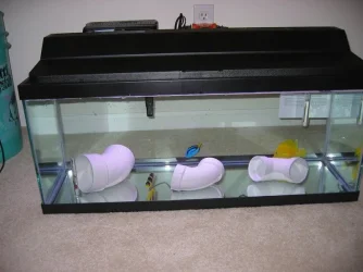 qtank3.webp