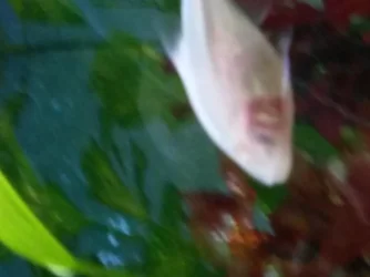 20151215_144931.webp