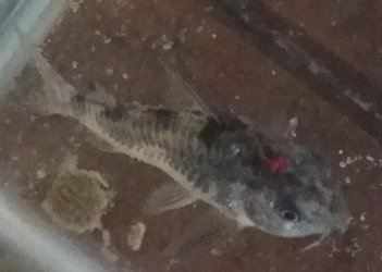 20160114_183921.jpg