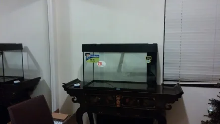 IMG-20151210-WA0009.webp