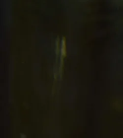 sm4.webp