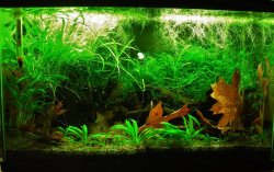 10g Sep 2-15.JPG