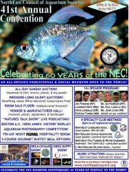 NEC 2016 Convention Flyer 2-4-16 - compressed.jpg