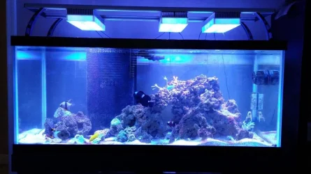 75gallon.webp 75gallon.webp