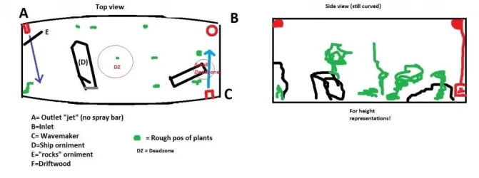 Fishtank.webp