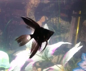 WIN_20160309_205935 (2).webp