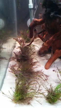 20160318_180553.webp