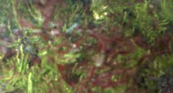 IMG-20160318-000911.jpg