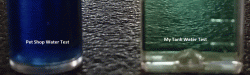 PH test 3.gif PH test 3.gif