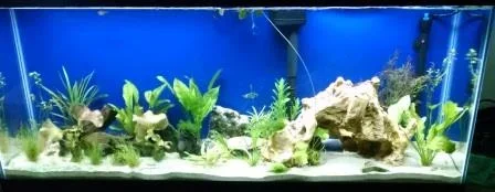 tank3-21-16.webp