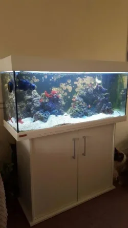 tank1.webp